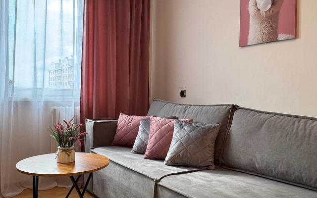 Pereulok Dzerzhinskogo 10 Apartments