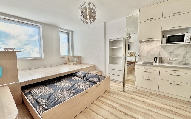 Апартаменты Pashk Inn Artek 2