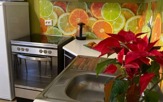 Апартаменты Квартира студия Чистая 13