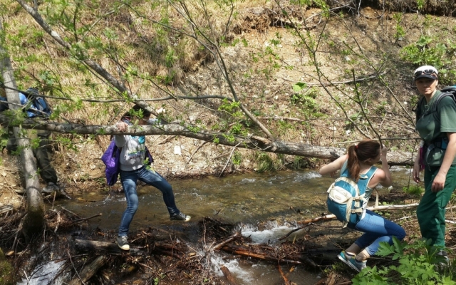Мини-Отель Арфа