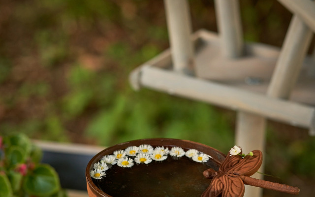 Гостевой дом Безмятежность