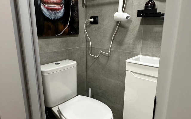 Апартаменты Литейный Проспект 31 двухместные 1