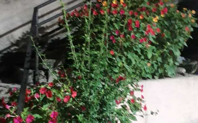Ruslan i Lyudmila Guest House