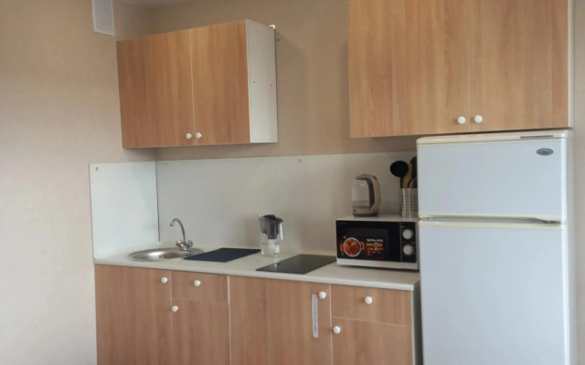 Uyutnaya 1kom v Novo-Patrushevo Flat