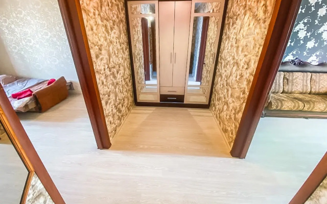 Uyutnaya Kvartira Vozle Sheremetyevo Apartments