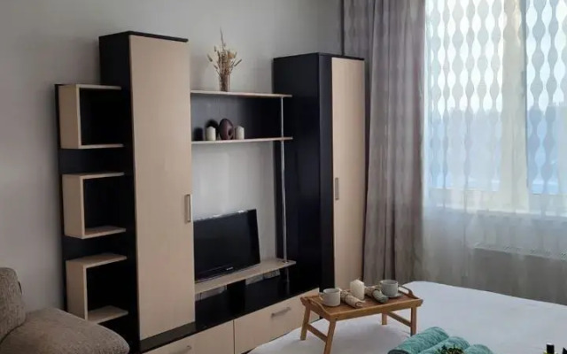 Na Ulitse Chkalova 231 Flat