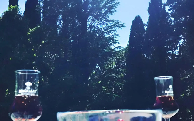 Апартаменты Устрица А