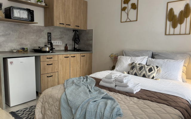 Апартаменты Уютная студия на Рижской