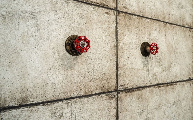 Апартаменты в Центре Петербурга