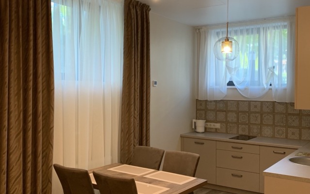 Апартаменты Apart SV1 Цоколь Раушен Престиж