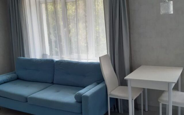 Na Pushkinskom Prospekte 4b Flat