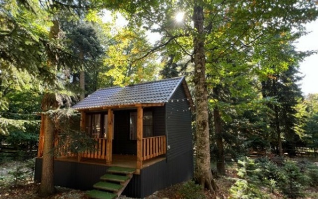 Potap Guest House
