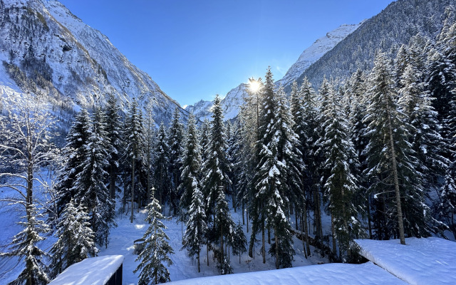 Квартира ArtHouse Dombay