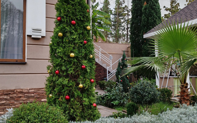 Mimoza Guest House