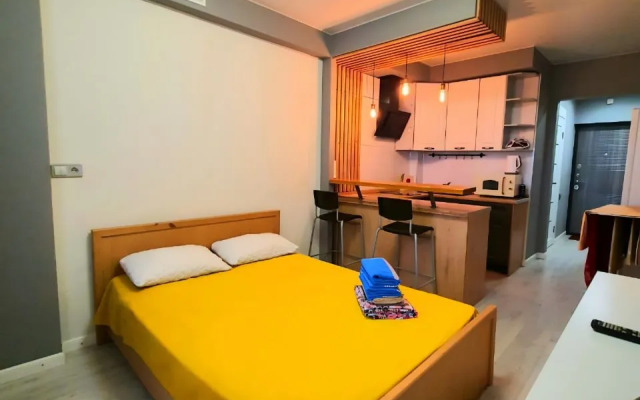 Uyutnaya Studiya Na 203-m Mikrorayone Flat