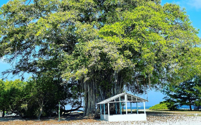 Bon Abri Maldives Guest House