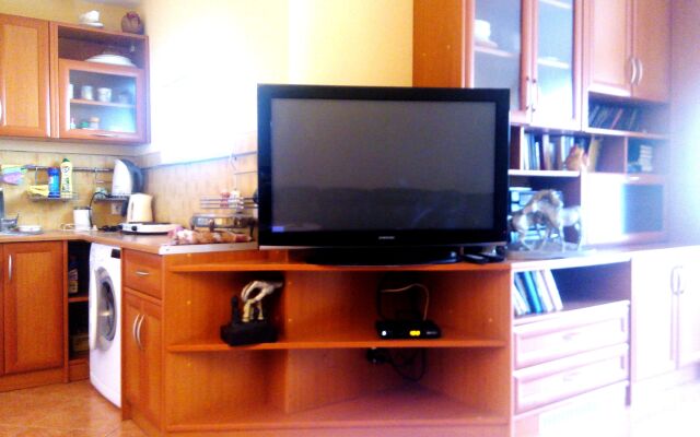 Central House Lesnoi Guest House