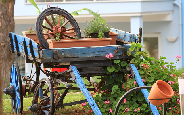 Daisy Garden Resort Hotel