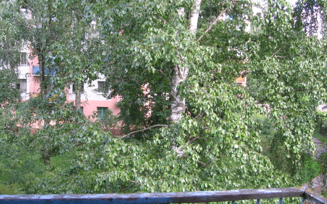 Vozle Ploschadi Pobedy Apartments