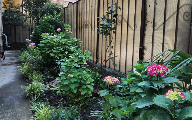 Квартира Mamai Mansan