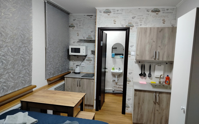 Квартира Уютная студия