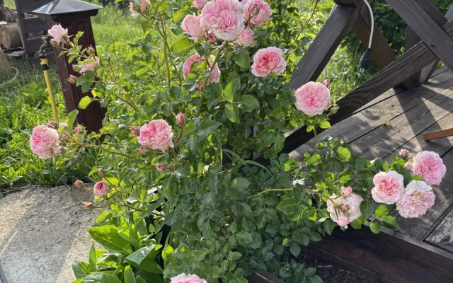 Шале Ромашки