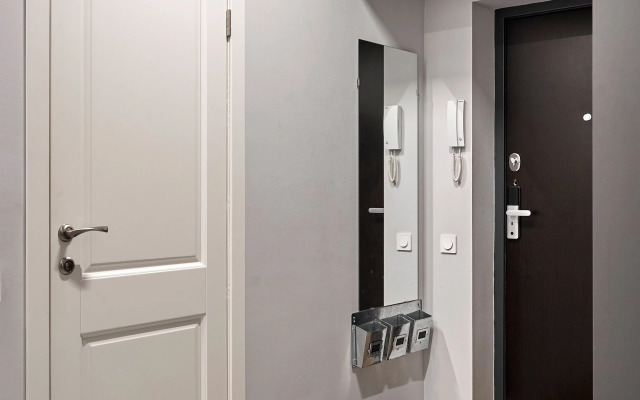 Квартира Просторная на Петроградской стороне