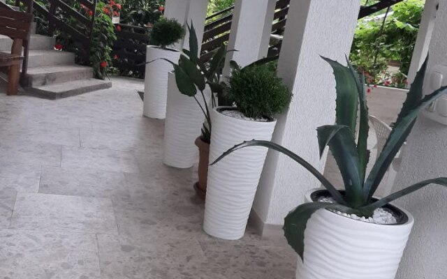 Elida Guest House