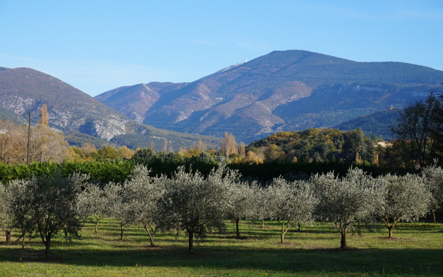 Гостевой Дом Mas de Cocagne en Provence