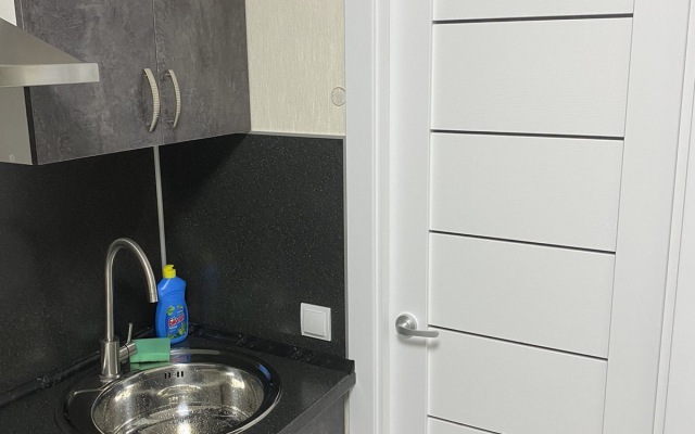 S Novym Remontom Studio Flat