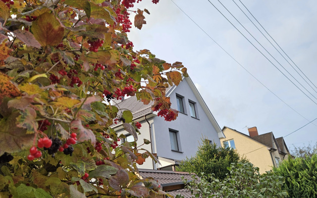 Гостевой дом Миниотелик