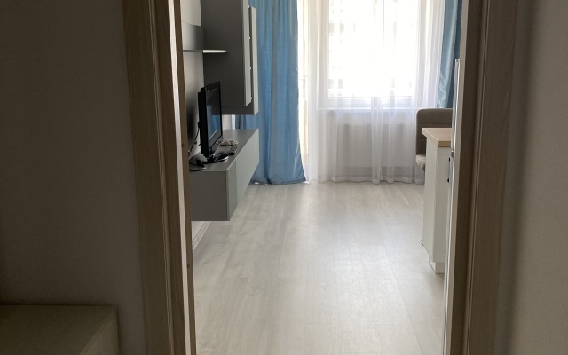 Квартира Уютная Студия