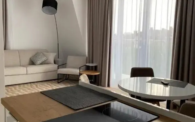 Апартаменты Улучшенные с Панорамным Окном Park House