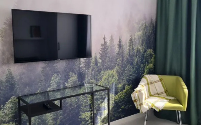 Квартира на Любови Шевцовой 51