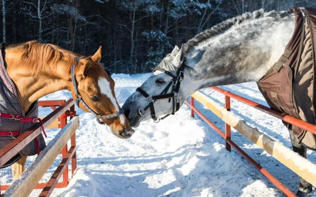 Отель Загородный клуб