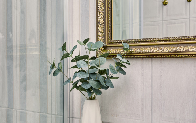 Апартаменты у Невы