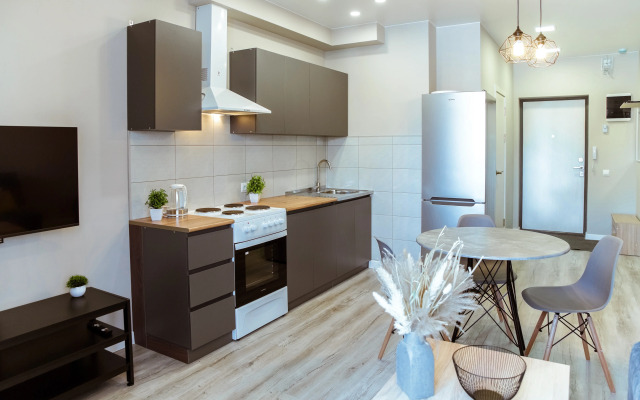Sas 1-K Dykhanie Zemli Apartments