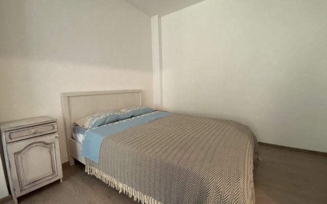 Квартира двухкомнатная (57кв.)  рядом с Зоо, ИжГТУ, Купол Семейная Botanika House