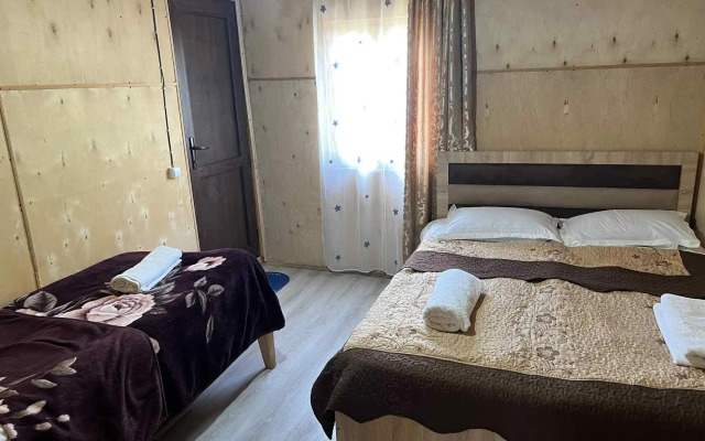 Old Omalo Guest house