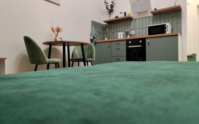 Green Room Serednevo Flat