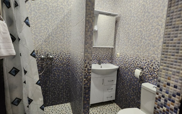 Dvukhkomnatnye U Vokzala Apartments