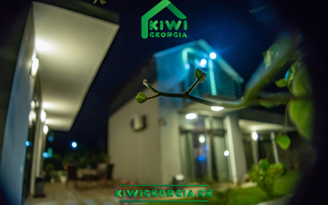 Apartment Kiwi Georgia 2