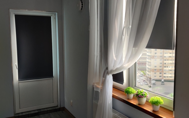 Uyutnaya Studiya U Parka Flat