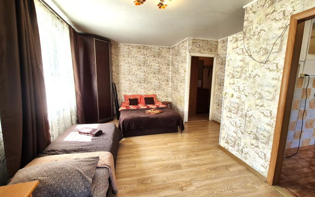 V Tsentre Pushkino Na Turgeneva Flat