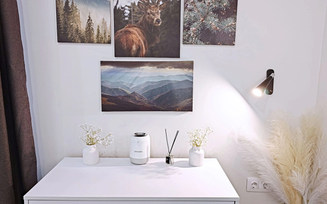 Апартаменты двухкомнатные Панорамный вид на горы