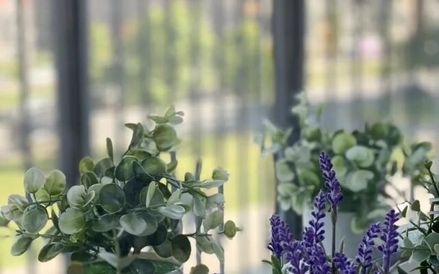 Апартаменты на Адмирала Трибуца 5