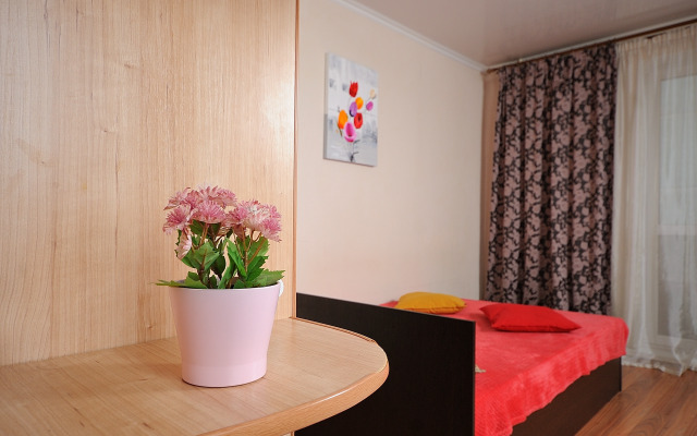 Квартира на улице Дмитриева 3/2