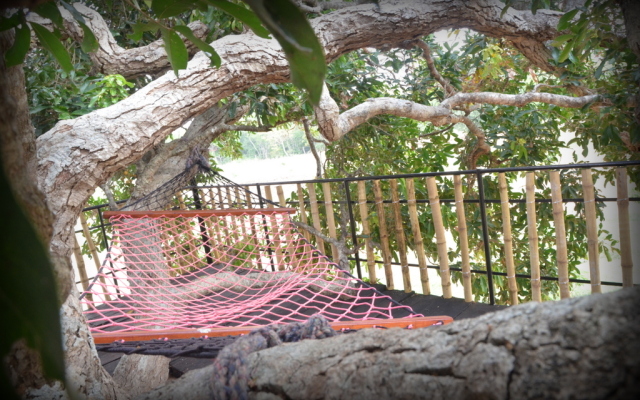 Leopard Lakes Wilpattu Hotel