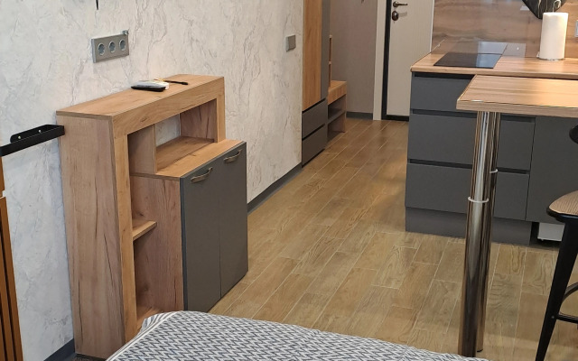 Uyutnaya studiia nedaleko ot centra i zh/d vokzala Flat