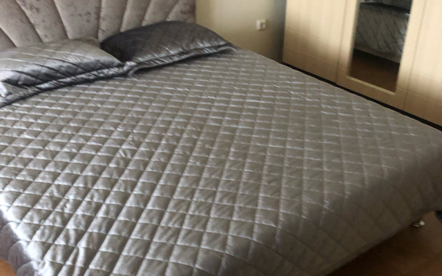 V Tsentre Goroda Flat